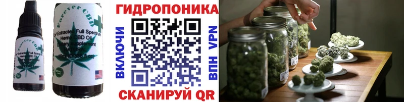 ОМГ ОМГ как зайти  darknet телеграм  Новомосковск  Печенье с ТГК конопля  как найти наркотики 