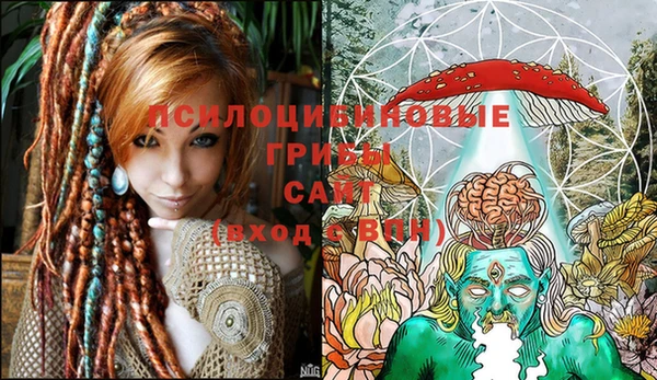 марки lsd Няндома