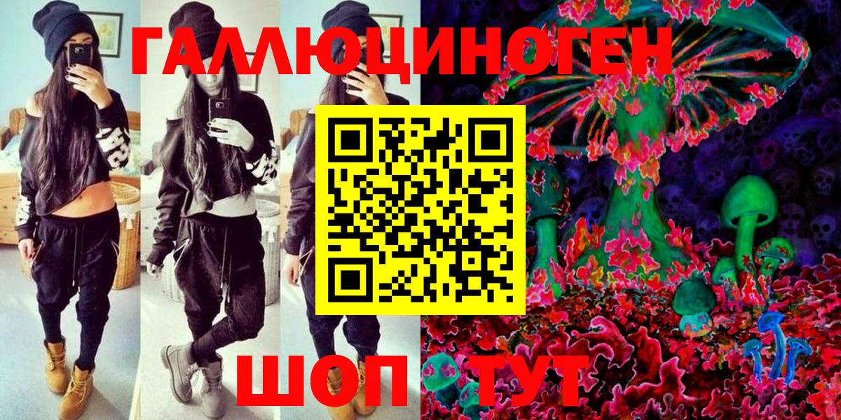 Новомосковск  что такое   Вход с VPN  Галлюциногенные грибы прущие грибы  Псилоцибиновые грибы Cubensis 